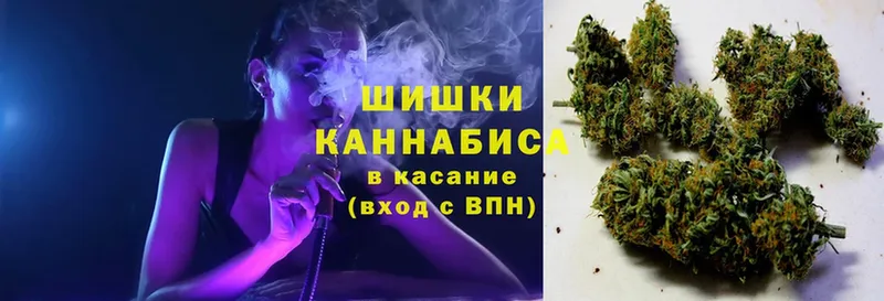 закладка  Ленинск-Кузнецкий  Бошки марихуана сатива 